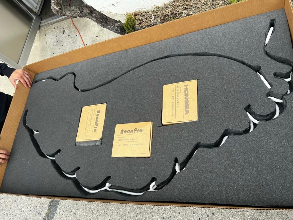 custom insert for neon bulb